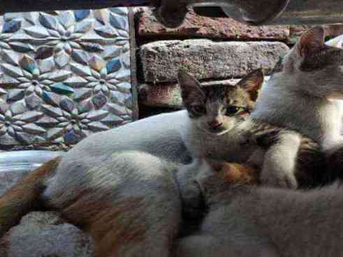 Abandonment issue kicked out of home photo