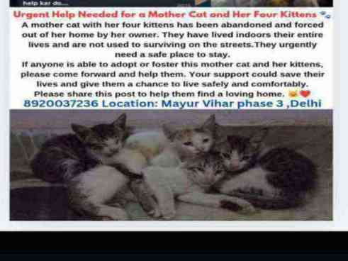 Abandonment issue kicked out of home