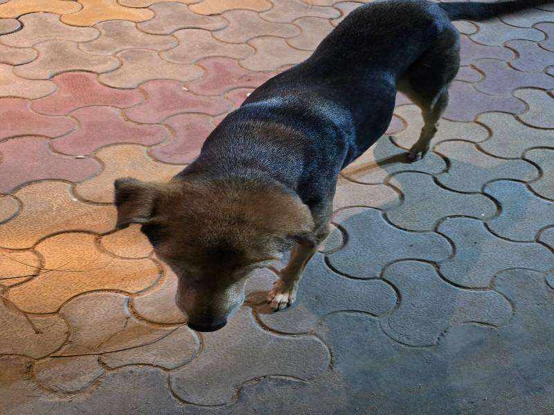 Babli photo